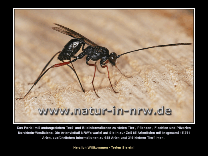 www.natur-in-nrw.com