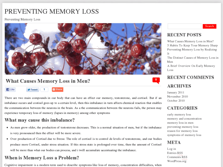 www.preventingmemoryloss.org