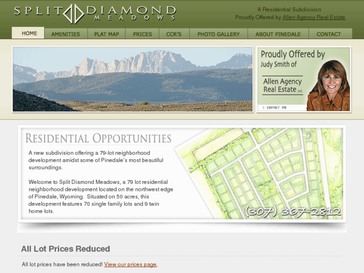 www.realestateofpinedale.com