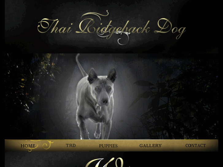 www.thairidgebackdog.info