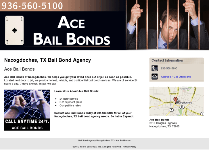 www.acebailbondstx.com