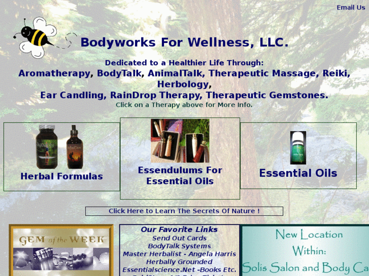 www.bodyworks4wellness.com