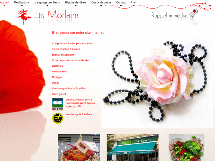 www.fleuriste-st-die.com