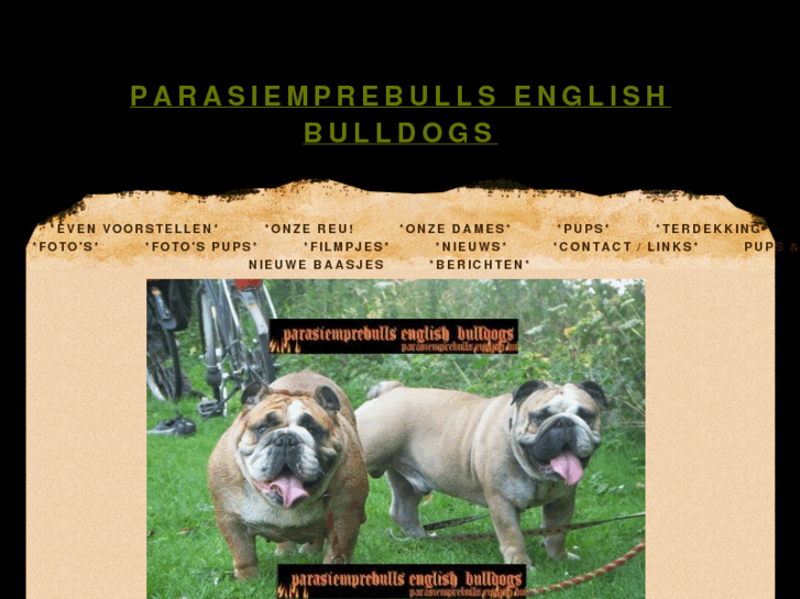 www.parasiemprebulls.com