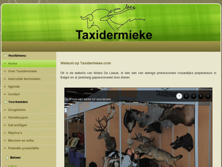 www.taxidermieke.com