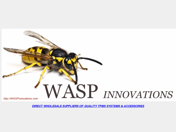 www.waspinnovations.com