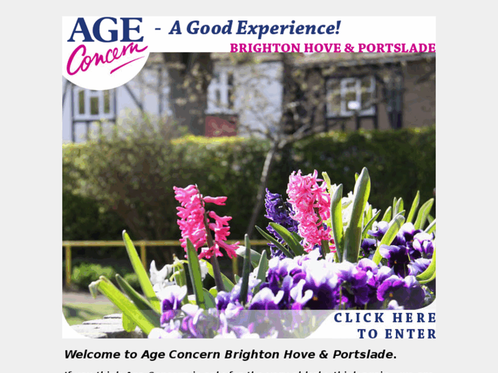 www.ageconcernbrighton-hove.org.uk