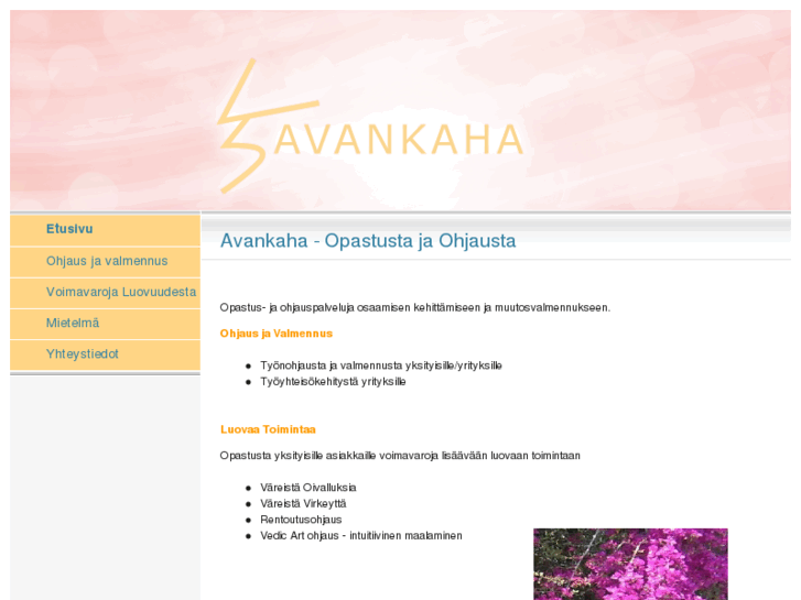 www.avankaha.com