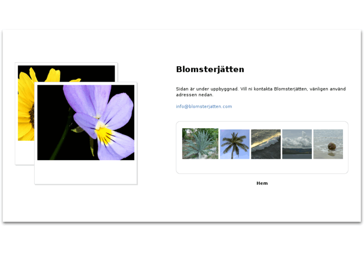 www.blomsterjatten.com