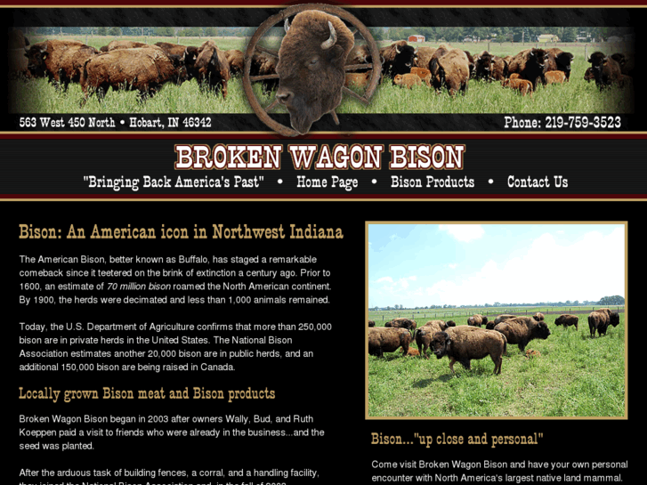 www.brokenwagonbison.com