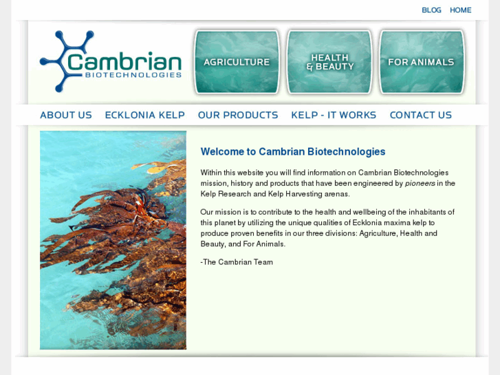 www.cambrianproducts.com