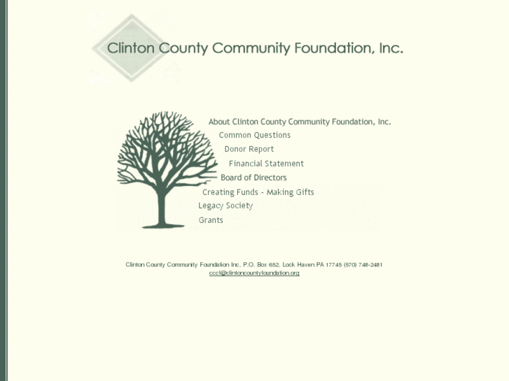 www.clintoncountyfoundation.com