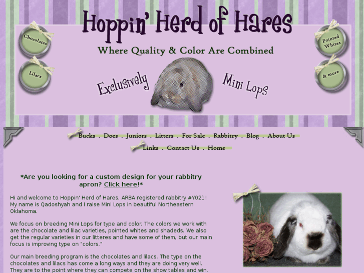 www.hoppinherdofhares.com