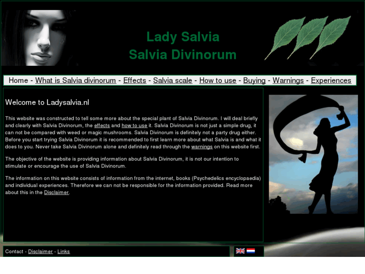 www.ladysalvia.com