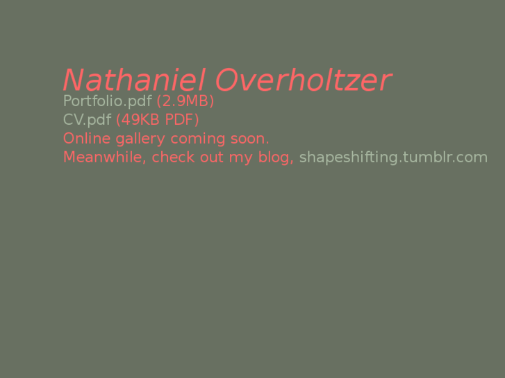 www.n-overholtzer.com