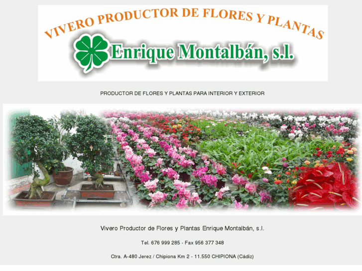 www.plantasmontalban.com