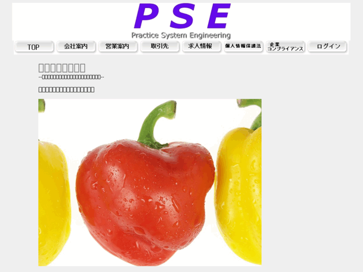 www.psesoft.com
