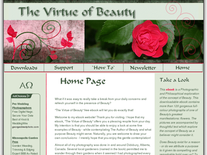 www.thevirtueofbeauty.com