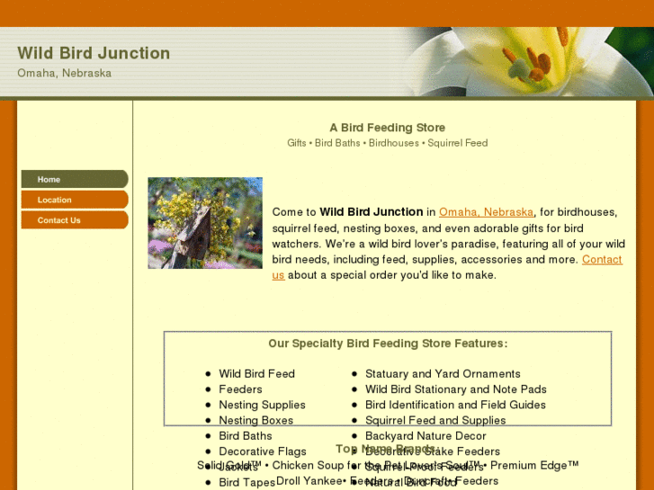 www.wildbirdjunction.net