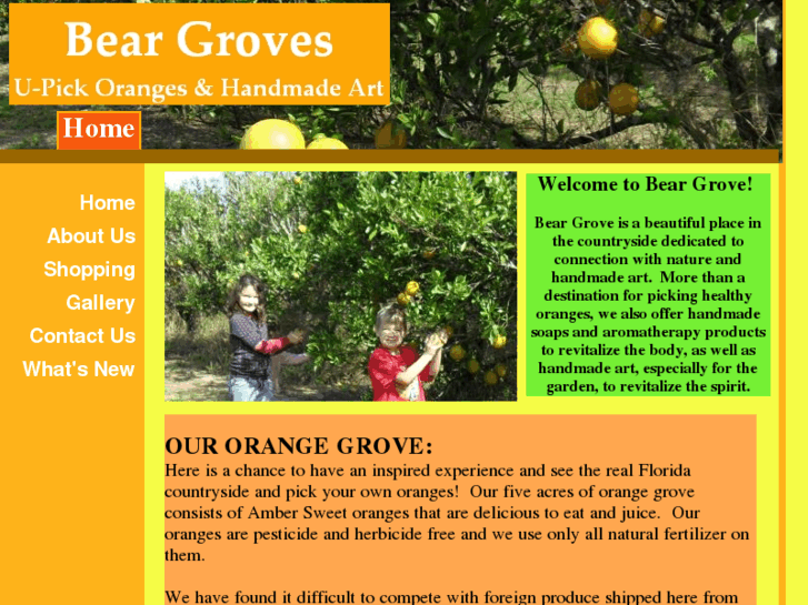 www.beargroves.com