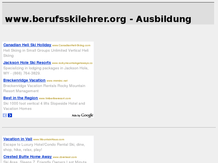 www.berufsskilehrer.org