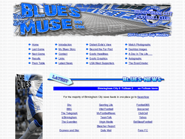 www.bluesmuse.com