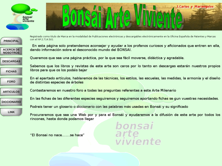 www.bonsai-arte-viviente.com