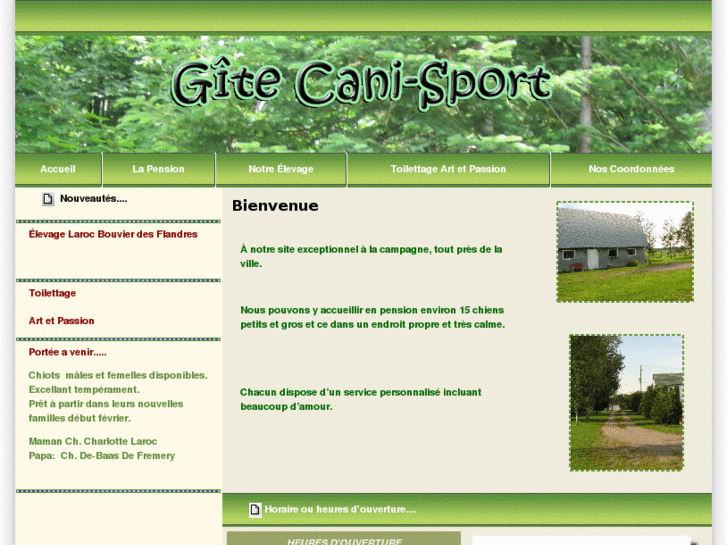 www.gitecanisport.com