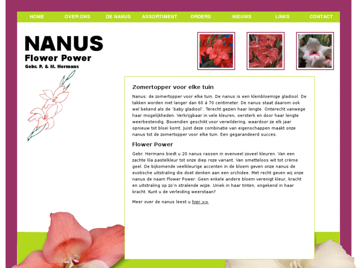 www.nanus.nl