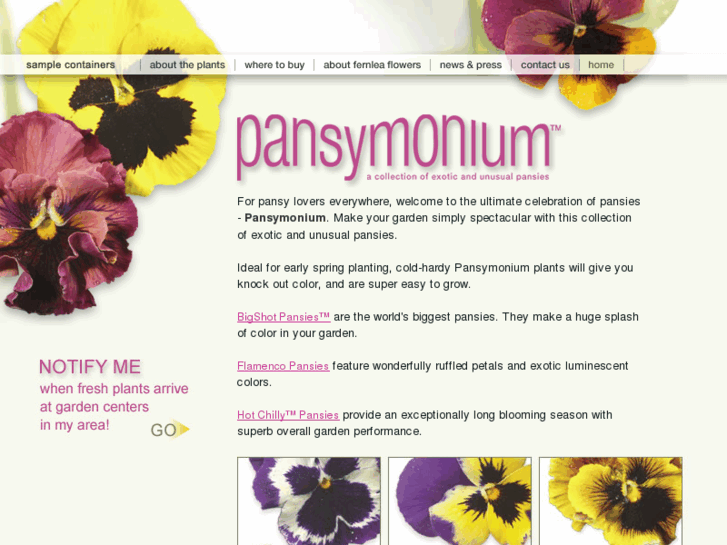 www.pansymonium.com