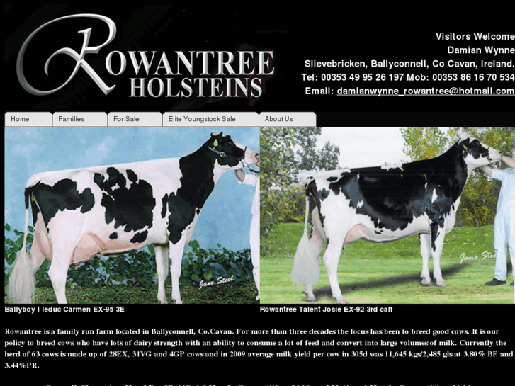 www.rowantreeholsteins.com