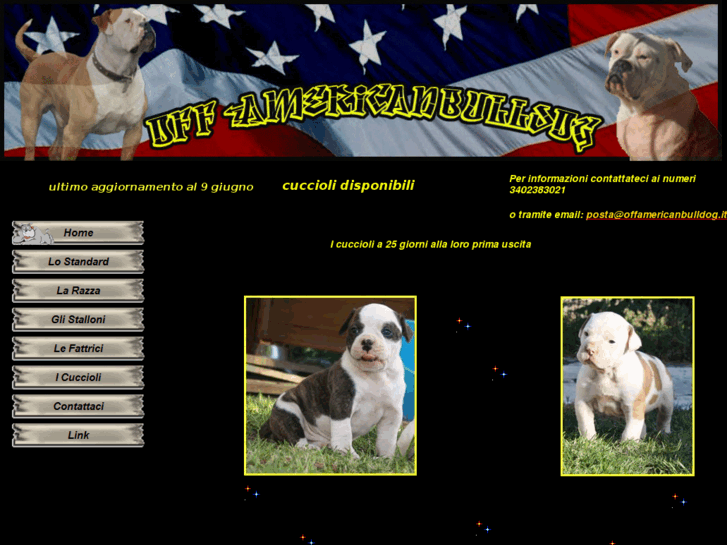 www.offamericanbulldog.it