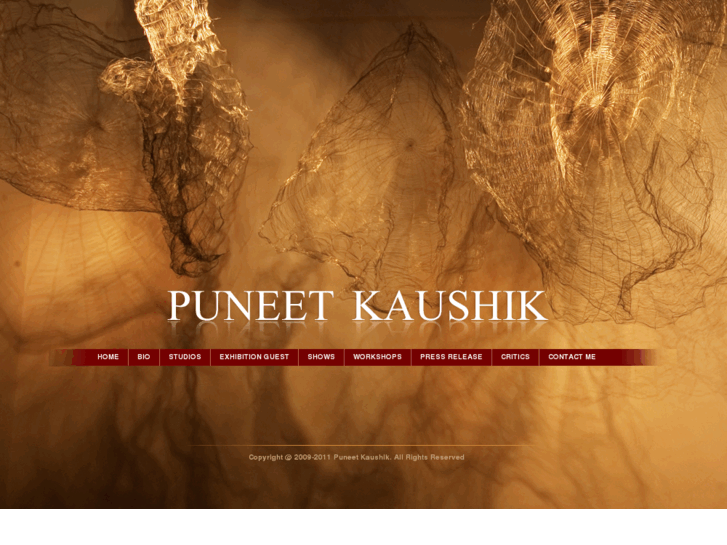 www.puneetkaushik.com