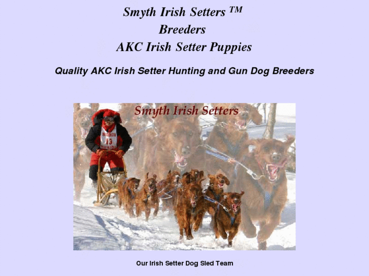 www.smythirishsetters.com