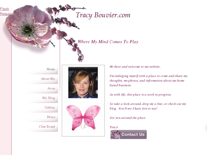 www.tracybouvier.com