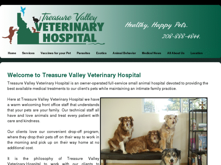 www.treasurevalleyvet.com