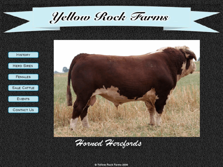 www.yellowrockfarms.com