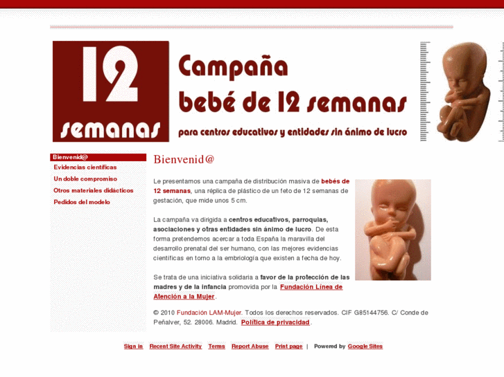 www.bebe12semanas.com