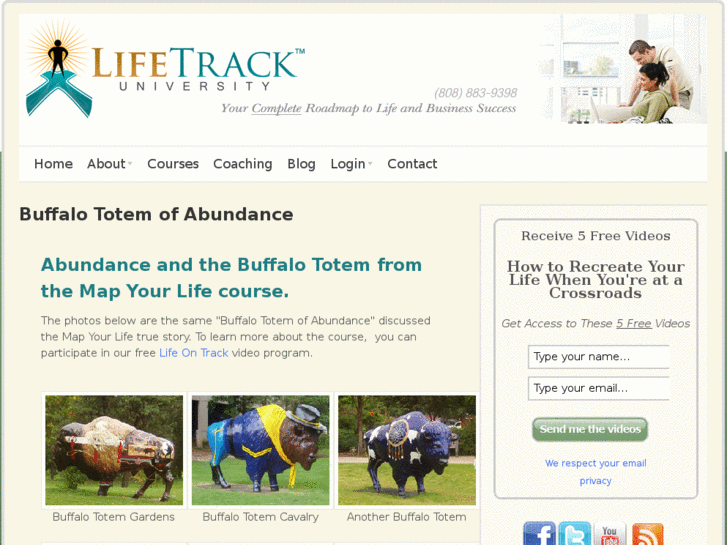 www.buffalototem.com