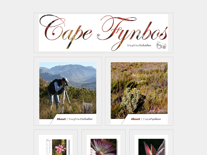 www.capefynbos.com