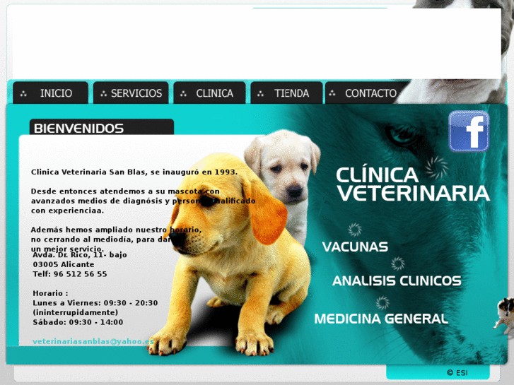 www.clinicaveterinariasanblasalicante.com