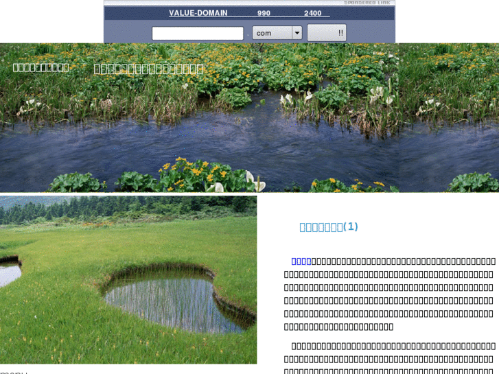 www.dispatch-company-page-text.net