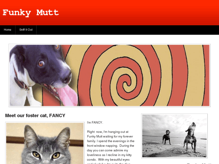 www.funkymutt.com