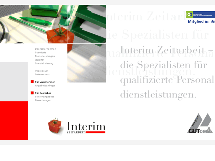 www.interim-zeitarbeit.com