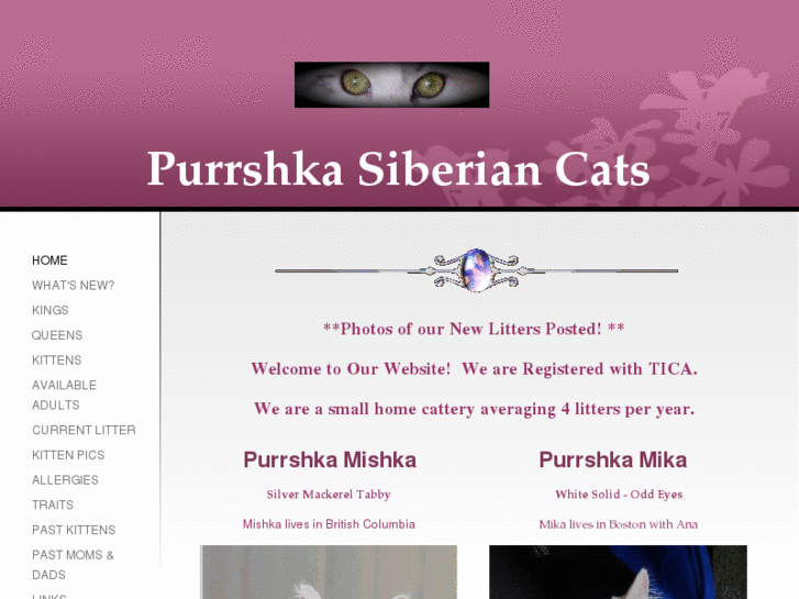 www.purrshkasiberiancats.com