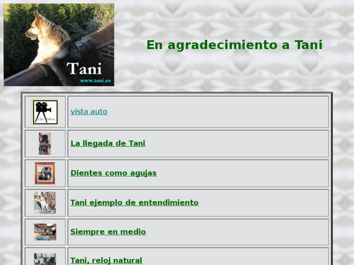 www.tani.es