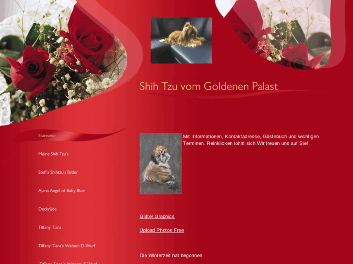 www.shihtzu-vom-goldenen-palast.net