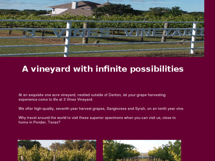 www.3vinesvineyard.com