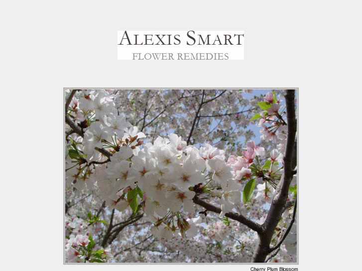 www.alexissmart.com