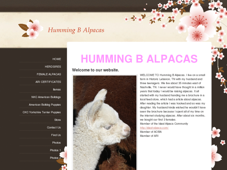 www.hummingbalpacas.com